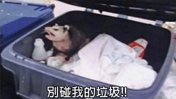 mytrash